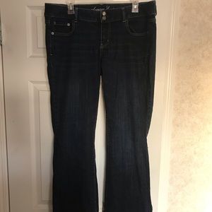 American Eagle size 14 Artist style jeans